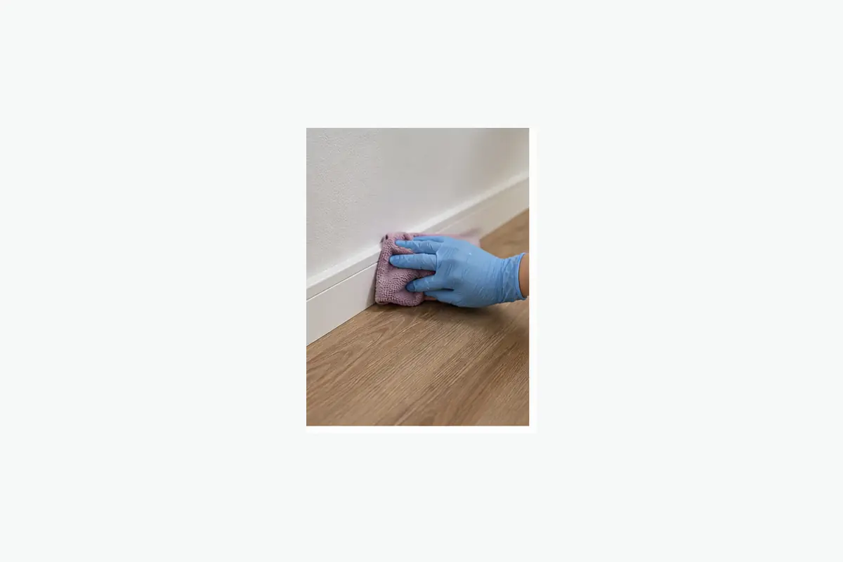 Cleaner working in a London home near Dulwich